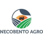 Design sem nome (16)